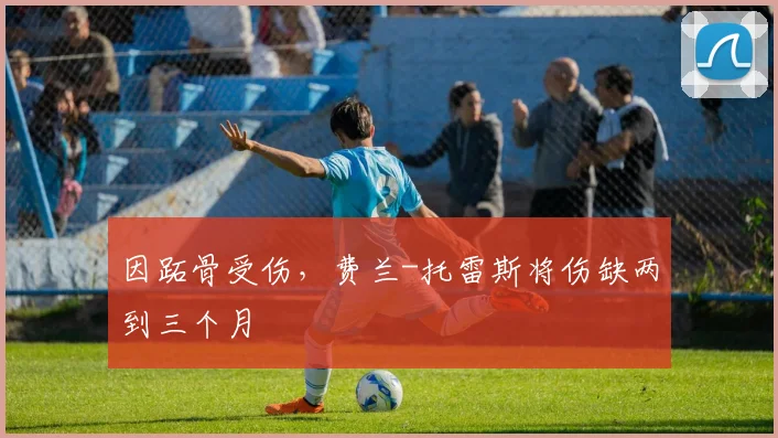 因跖骨受伤，费兰-托雷斯将伤缺两到三个月
