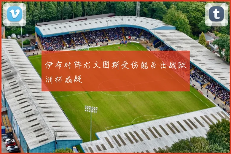 伊布对阵尤文图斯受伤能否出战欧洲杯成疑