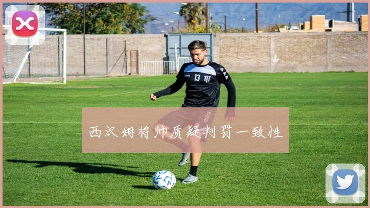 西汉姆将帅质疑判罚一致性